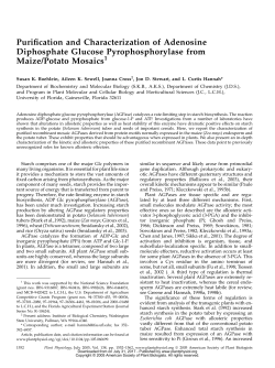 Purification and Characterization of Adenosine Diphosphate