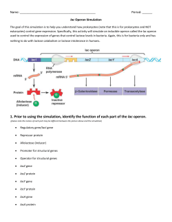 lac Operon Simulation