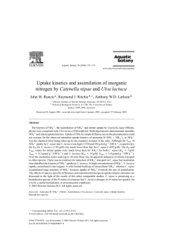 Uptake kinetics and assimilation of inorganic nitrogen by Catenella