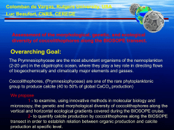 The morphological diversity of coccolithophores will be analyzed using