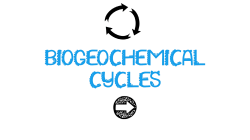 Biogeochemical Cycles