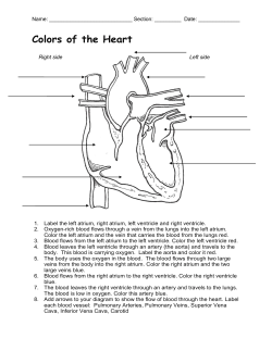 Colors of the Heart - Garrett County Public Schools