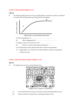 Photosynthesis