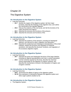 24-1 The Digestive Tract