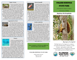 Collier Critters Brochure