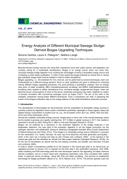 Energy Analysis of Different Municipal Sewage Sludge