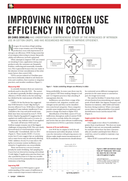 improving nitrogen use efficiency in cotton