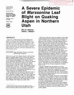 A severe epidemic of Marssonina leaf blight on quaking aspen in