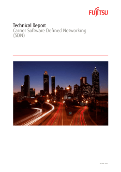 Technical Report Carrier Software Defined Networking (SDN)