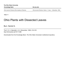 Ohio Plants with Dissected Leaves - Knowledge Bank