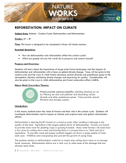 How does the evidence for your role impact the carbon cycle? Carbon