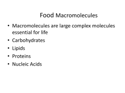 Macromolecules