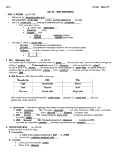 unit vii &ndash; gene expression