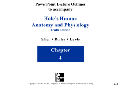 BIOL-2401-Holes-chapt04_lecture