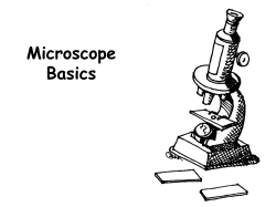 Microscope Basics ppt.