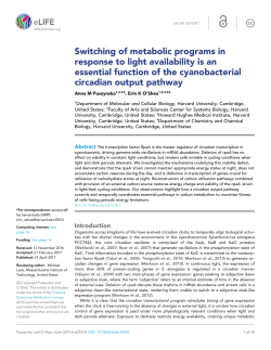 Switching of metabolic programs in response to light availability is