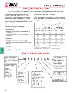 LiftAlloy Chain Slings