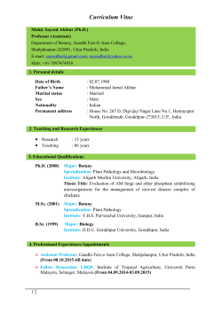 Curriculum Vitae