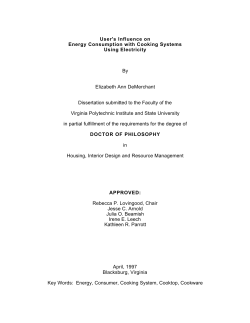 User`s Influence on Energy Consumption with
