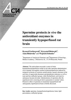 Spermine protects in vivo the antioxidant enzymes in transiently