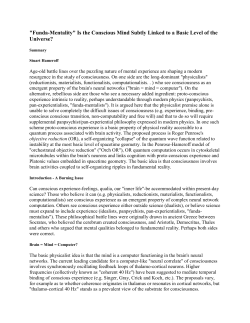 Funda-Mentality - Quantum Consciousness