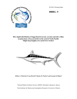 Dive-depth distribution of loggerhead (Carretta carretta) and olive