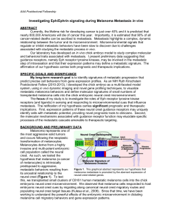 AAA Postdoctoral Fellowship - American Association of Anatomists