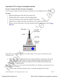 Oxygen Consumption and Size
