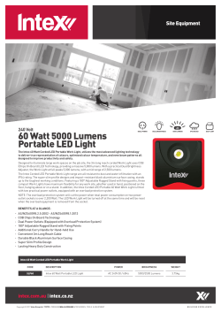 Intex LED Work Lights