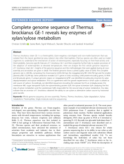 Complete genome sequence of Thermus brockianus GE