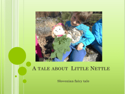A tale about Little Nettle