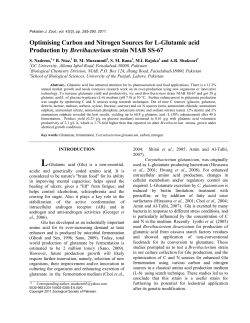 Optimising Carbon and Nitrogen Sources for L