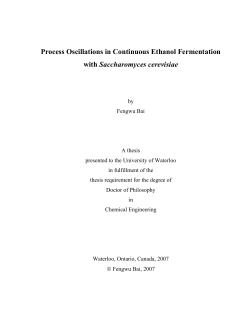 Process Oscillations in Continuous Ethanol Fermentation with