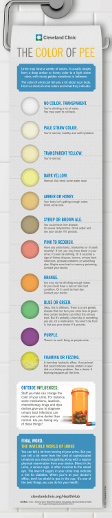 the color of pee - Cleveland Clinic`s Health Essentials