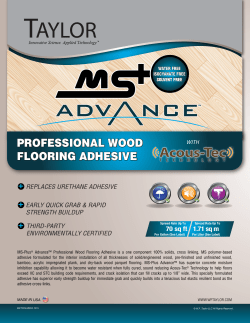 Taylor MSPlus Advance Flyer