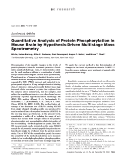 Quantitative Analysis of Protein Phosphorylation in Mouse Brain by