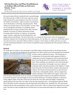 Soil Amelioration and Plant Establishment on Sodium Affected Soils