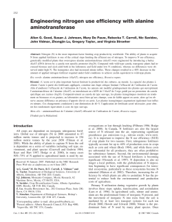 Engineering nitrogen use efficiency with alanine aminotransferase