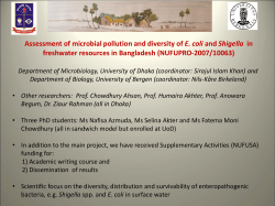 Shigella