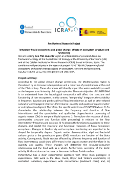 Pre-Doctoral Research Project Title