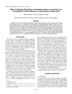 Effect of Purinergic Stimulation on Intracellular Calcium