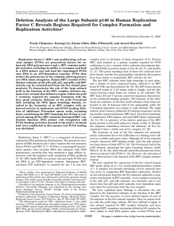Deletion Analysis of the Large Subunit p140 in Human Replication
