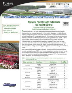 Applying Plant Growth Retardants for Height