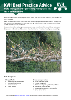Male Management&mdash;protecting male plants in a Psa