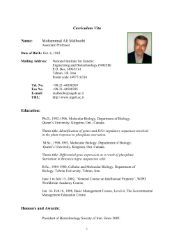 CURRICULUM VITA