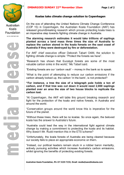 Press Release Template - Australian Koala Foundation