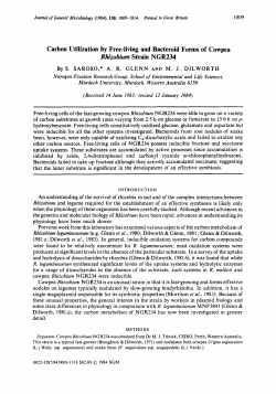 Carbon Utilization by Free-living and Bacteroid Forms