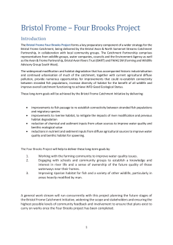 Four Brooks Project in detail