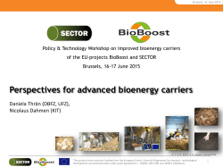Perspectives for advanced Bioenergy Carriers, by Daniela Thr&auml;n