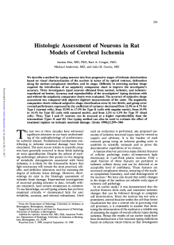 Histologic Assessment of Neurons in Rat Models of